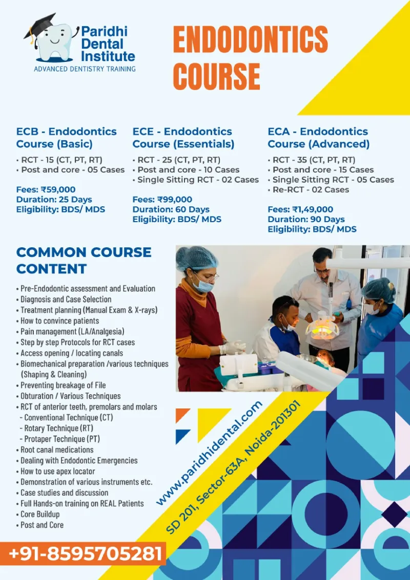 Root Canal Course